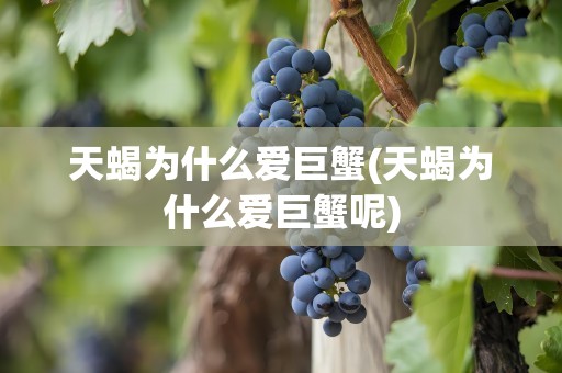 天蝎为什么爱巨蟹(天蝎为什么爱巨蟹呢)