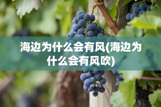 海边为什么会有风(海边为什么会有风吹)