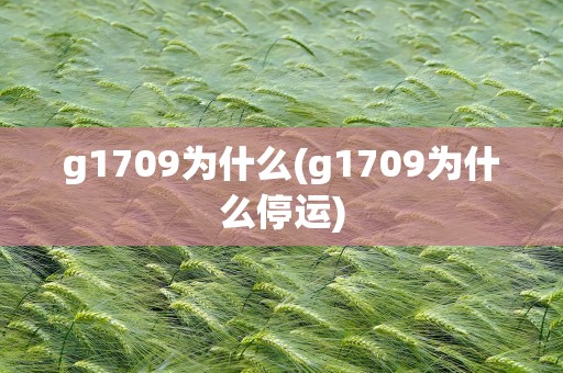 g1709为什么(g1709为什么停运)