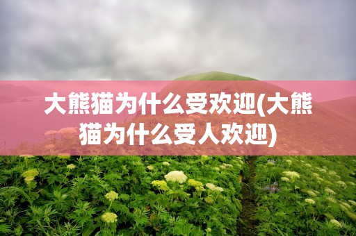 大熊猫为什么受欢迎(大熊猫为什么受人欢迎)