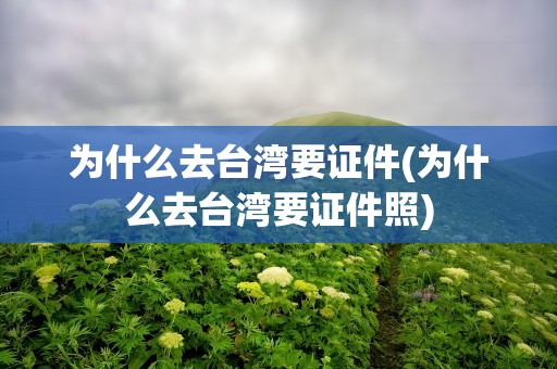 为什么去台湾要证件(为什么去台湾要证件照)