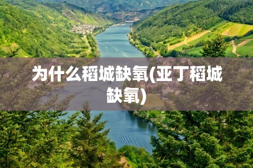 为什么稻城缺氧(亚丁稻城缺氧)