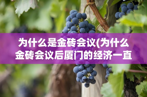 为什么是金砖会议(为什么金砖会议后厦门的经济一直在倒退)