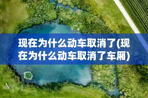 现在为什么动车取消了(现在为什么动车取消了车厢)