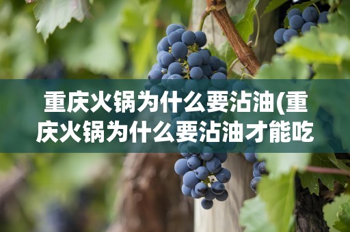重庆火锅为什么要沾油(重庆火锅为什么要沾油才能吃)