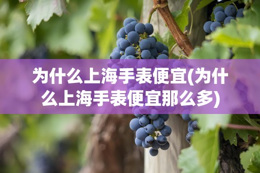 为什么上海手表便宜(为什么上海手表便宜那么多)