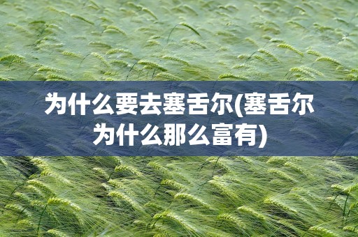 为什么要去塞舌尔(塞舌尔为什么那么富有)