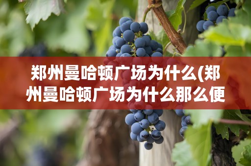 郑州曼哈顿广场为什么(郑州曼哈顿广场为什么那么便宜)