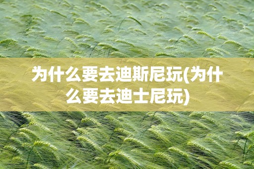 为什么要去迪斯尼玩(为什么要去迪士尼玩)