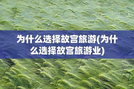 为什么选择故宫旅游(为什么选择故宫旅游业)