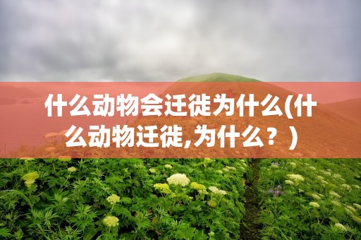 什么动物会迁徙为什么(什么动物迁徙,为什么？)