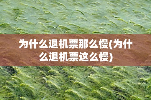 为什么退机票那么慢(为什么退机票这么慢)