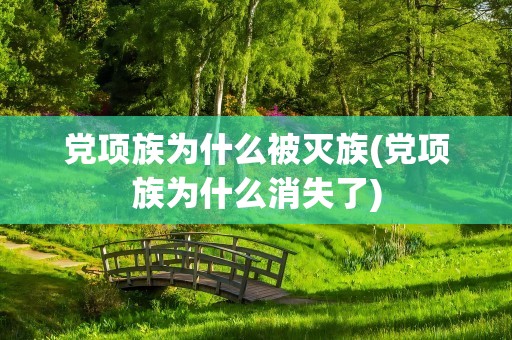 党项族为什么被灭族(党项族为什么消失了)