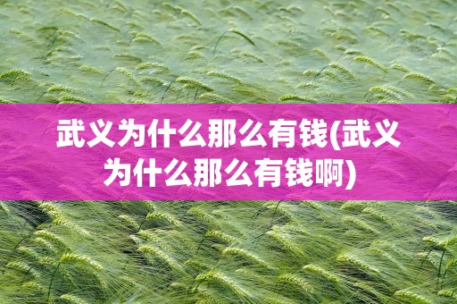 武义为什么那么有钱(武义为什么那么有钱啊)