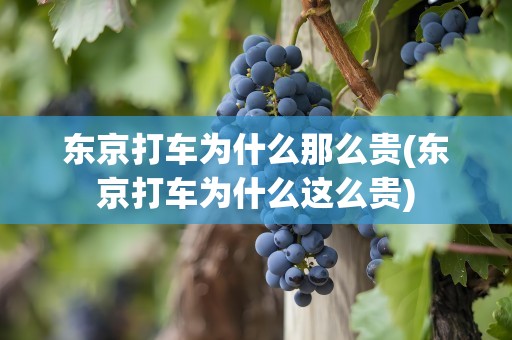 东京打车为什么那么贵(东京打车为什么这么贵)