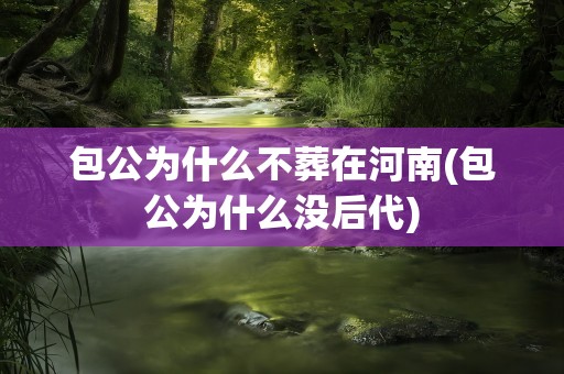 包公为什么不葬在河南(包公为什么没后代)