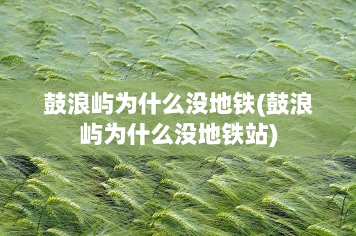 鼓浪屿为什么没地铁(鼓浪屿为什么没地铁站)
