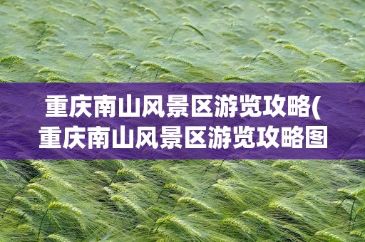 重庆南山风景区游览攻略(重庆南山风景区游览攻略图)
