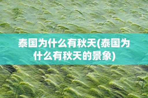 泰国为什么有秋天(泰国为什么有秋天的景象)