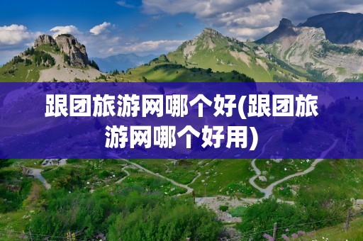 跟团旅游网哪个好(跟团旅游网哪个好用)