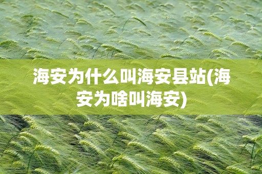 海安为什么叫海安县站(海安为啥叫海安)