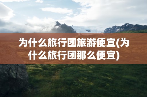 为什么旅行团旅游便宜(为什么旅行团那么便宜)