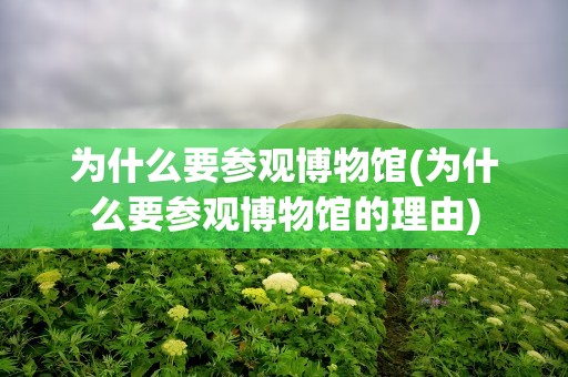 为什么要参观博物馆(为什么要参观博物馆的理由)