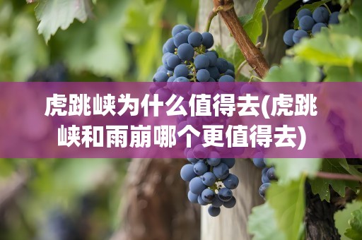 虎跳峡为什么值得去(虎跳峡和雨崩哪个更值得去)