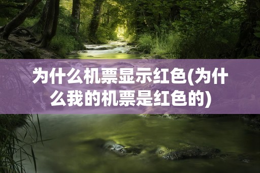 为什么机票显示红色(为什么我的机票是红色的)
