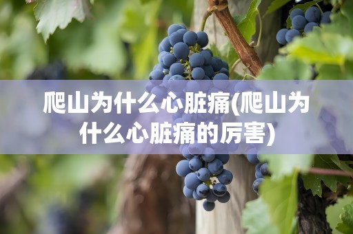 爬山为什么心脏痛(爬山为什么心脏痛的厉害)