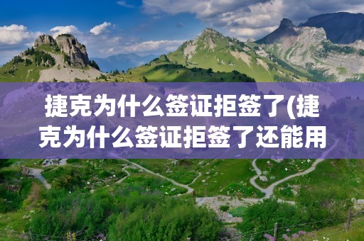 捷克为什么签证拒签了(捷克为什么签证拒签了还能用)