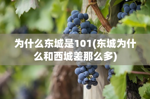 为什么东城是101(东城为什么和西城差那么多)