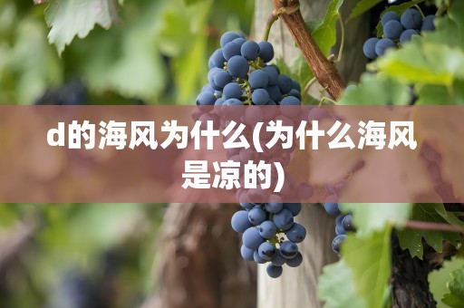 d的海风为什么(为什么海风是凉的)