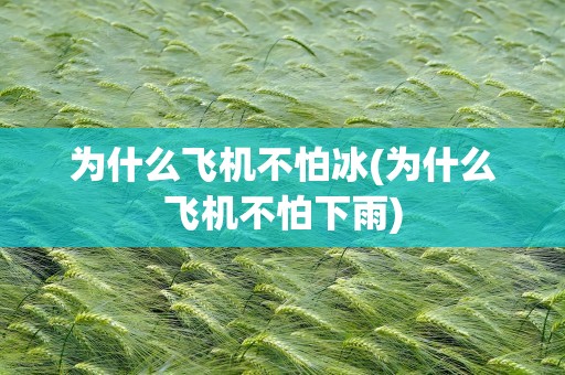 为什么飞机不怕冰(为什么飞机不怕下雨)