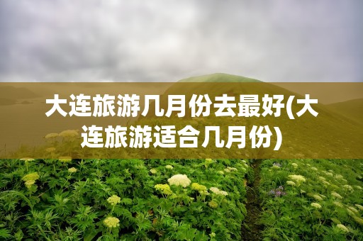 大连旅游几月份去最好(大连旅游适合几月份)