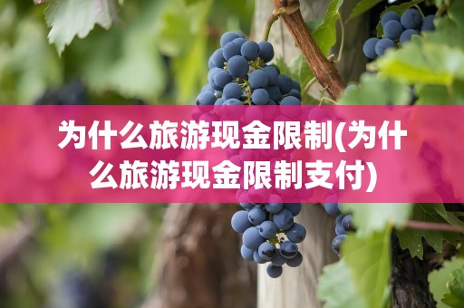 为什么旅游现金限制(为什么旅游现金限制支付)