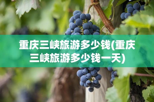 重庆三峡旅游多少钱(重庆三峡旅游多少钱一天)