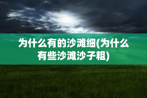 为什么有的沙滩细(为什么有些沙滩沙子粗)