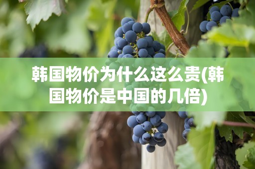 韩国物价为什么这么贵(韩国物价是中国的几倍)