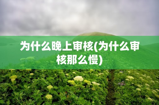 为什么晚上审核(为什么审核那么慢)