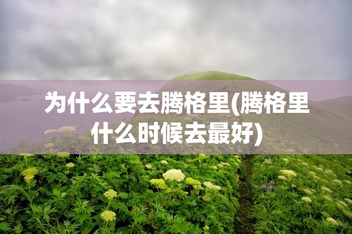 为什么要去腾格里(腾格里什么时候去最好)