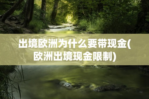 出境欧洲为什么要带现金(欧洲出境现金限制)