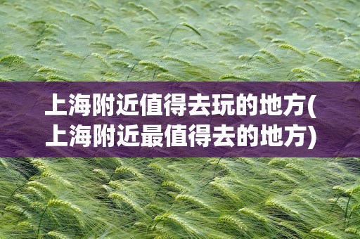 上海附近值得去玩的地方(上海附近最值得去的地方)