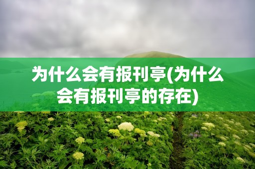 为什么会有报刊亭(为什么会有报刊亭的存在)