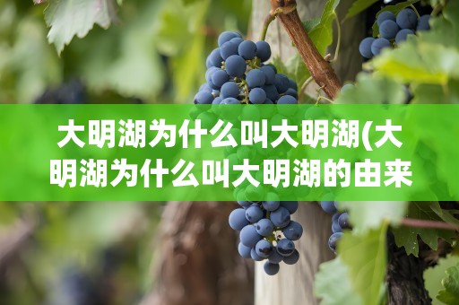 大明湖为什么叫大明湖(大明湖为什么叫大明湖的由来)