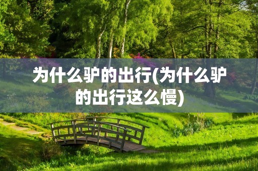 为什么驴的出行(为什么驴的出行这么慢)