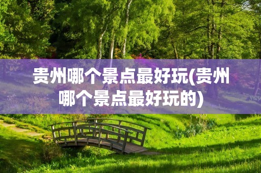 贵州哪个景点最好玩(贵州哪个景点最好玩的)
