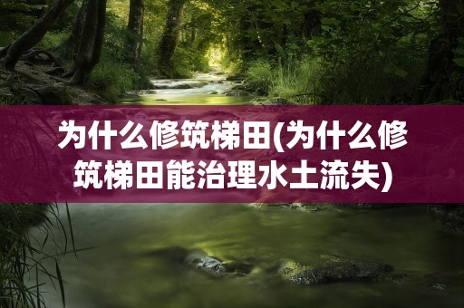 为什么修筑梯田(为什么修筑梯田能治理水土流失)