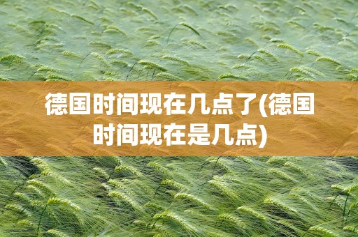 德国时间现在几点了(德国时间现在是几点)