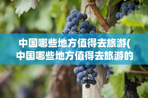 中国哪些地方值得去旅游(中国哪些地方值得去旅游的)